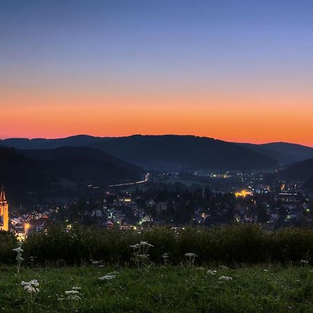 Drei Tannen - Wohnung 09 - Apartmenthaus, Titisee, Feldberg Eksteriør billede
