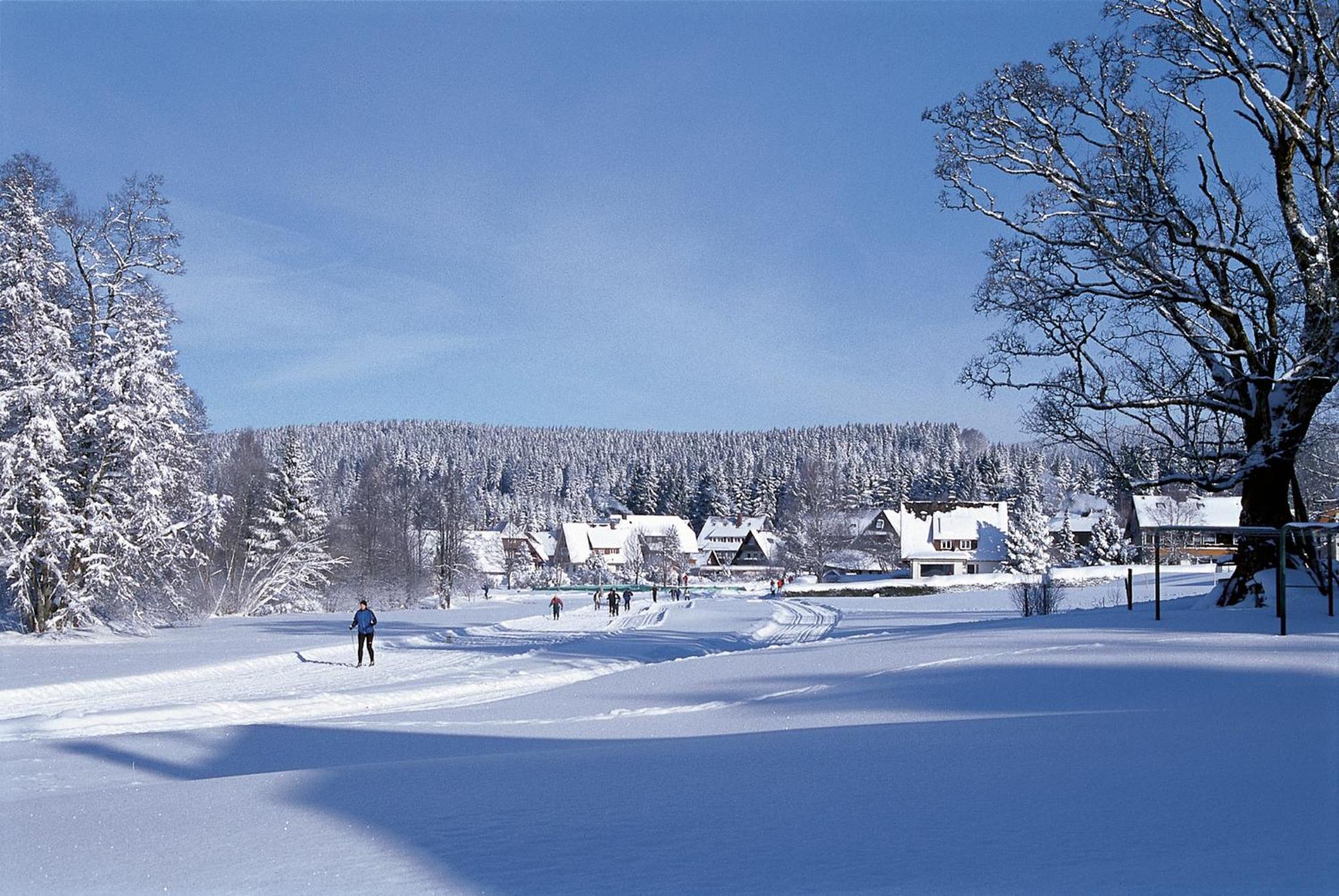 Drei Tannen - Wohnung 09 - Apartmenthaus, Titisee, Feldberg Eksteriør billede