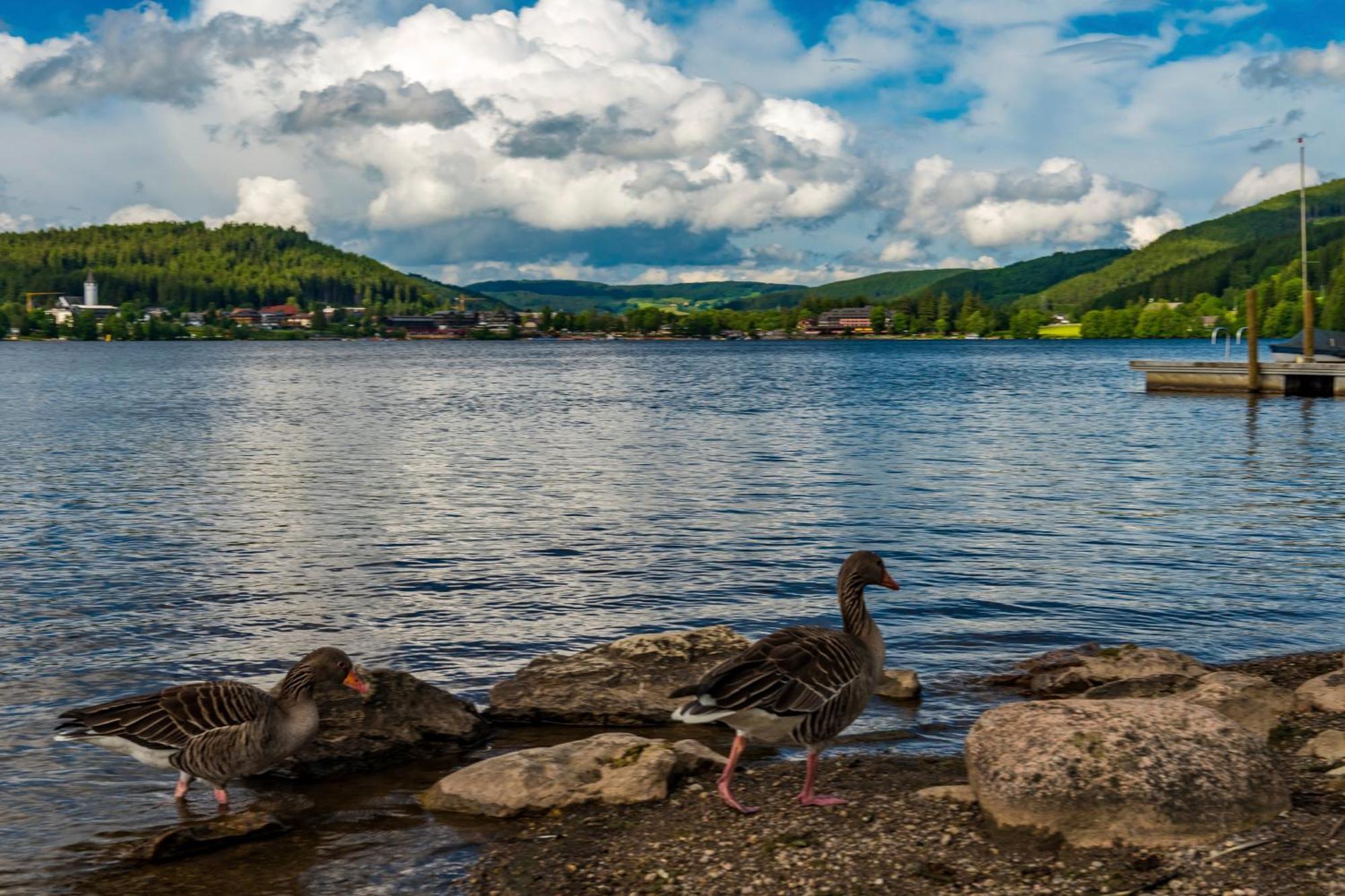 Drei Tannen - Wohnung 09 - Apartmenthaus, Titisee, Feldberg Eksteriør billede