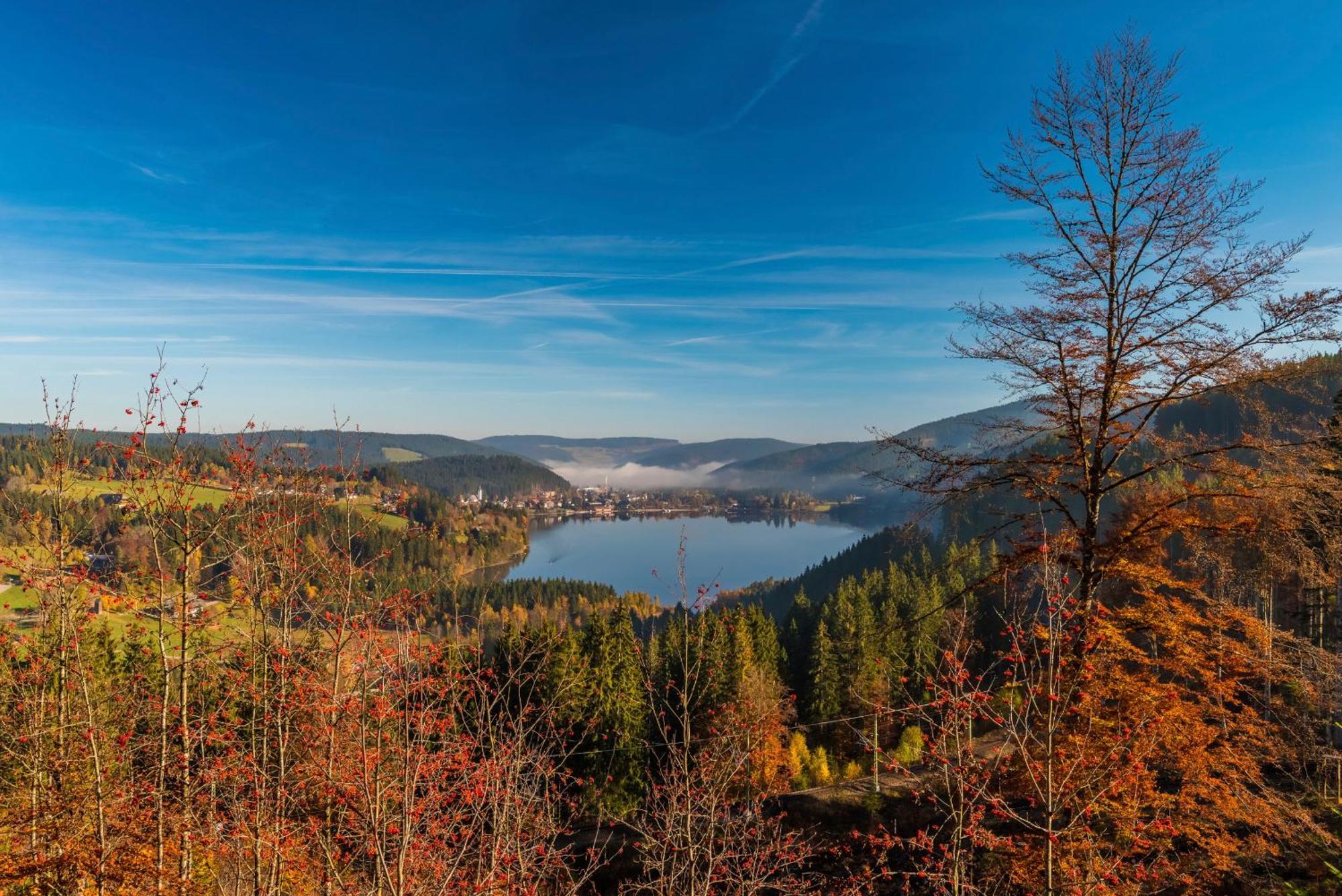 Drei Tannen - Wohnung 09 - Apartmenthaus, Titisee, Feldberg Eksteriør billede