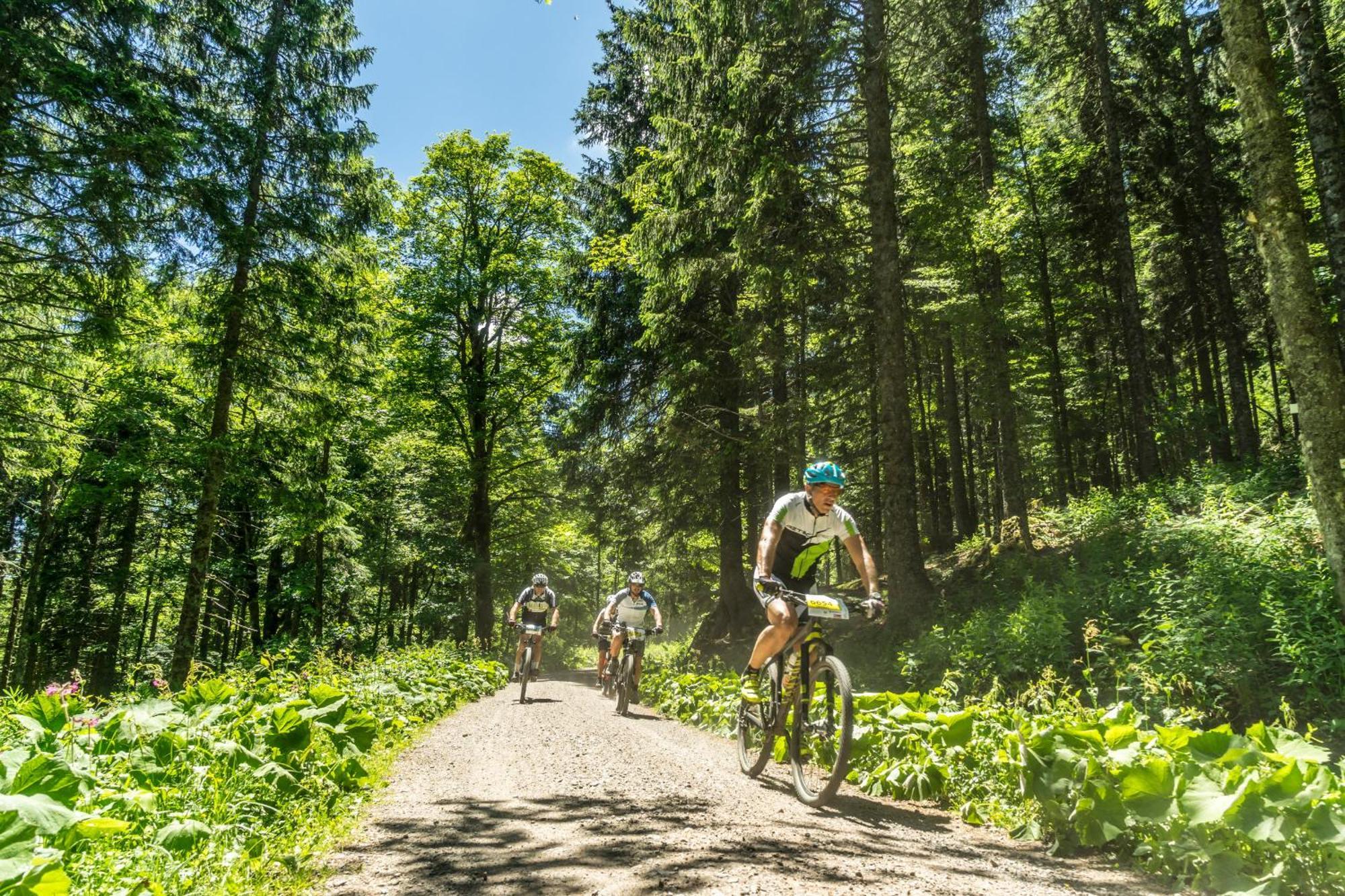 Drei Tannen - Wohnung 09 - Apartmenthaus, Titisee, Feldberg Eksteriør billede