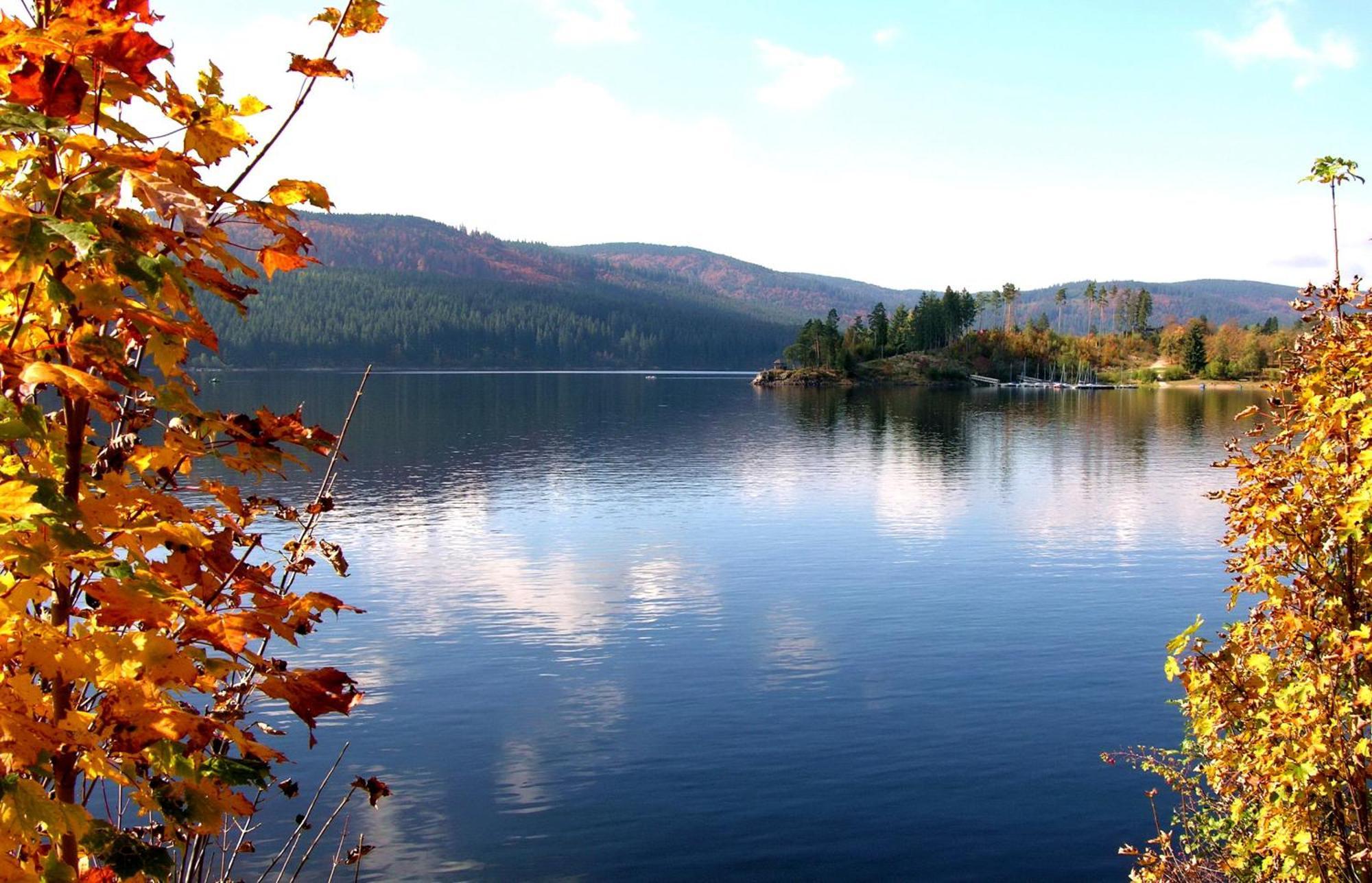 Drei Tannen - Wohnung 09 - Apartmenthaus, Titisee, Feldberg Eksteriør billede